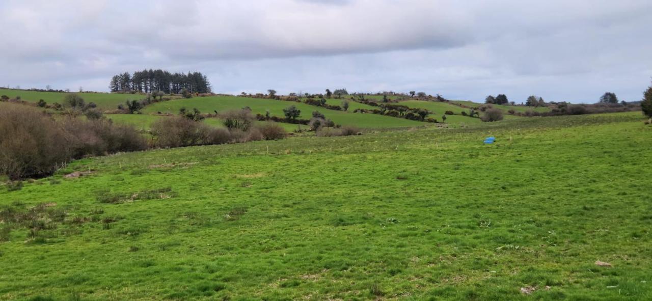 Peacock Farms Estate Lägenhet Cork Exteriör bild